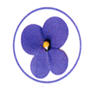 viola viola